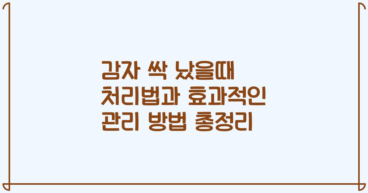 감자 싹 났을때 처리법과 효과적인 관리 방법 총정리